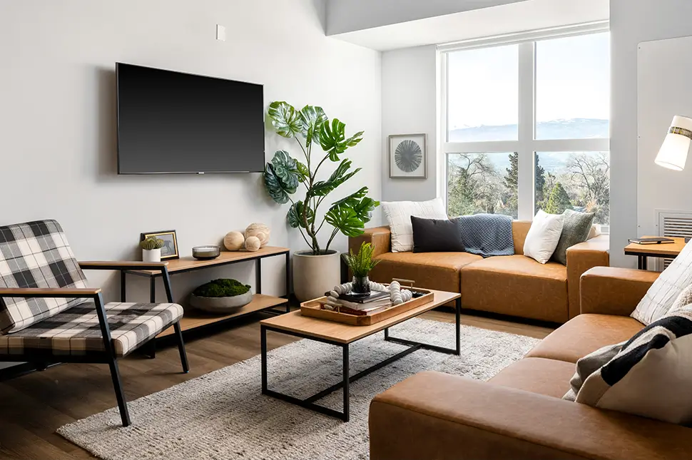 furnished living space