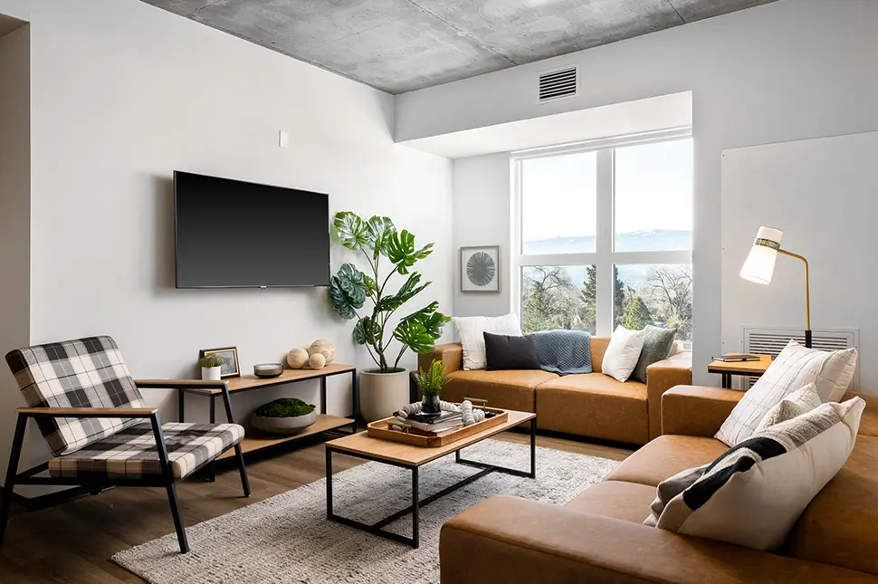 furnished apartment living space