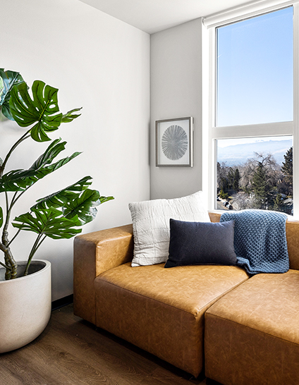 furnished living space